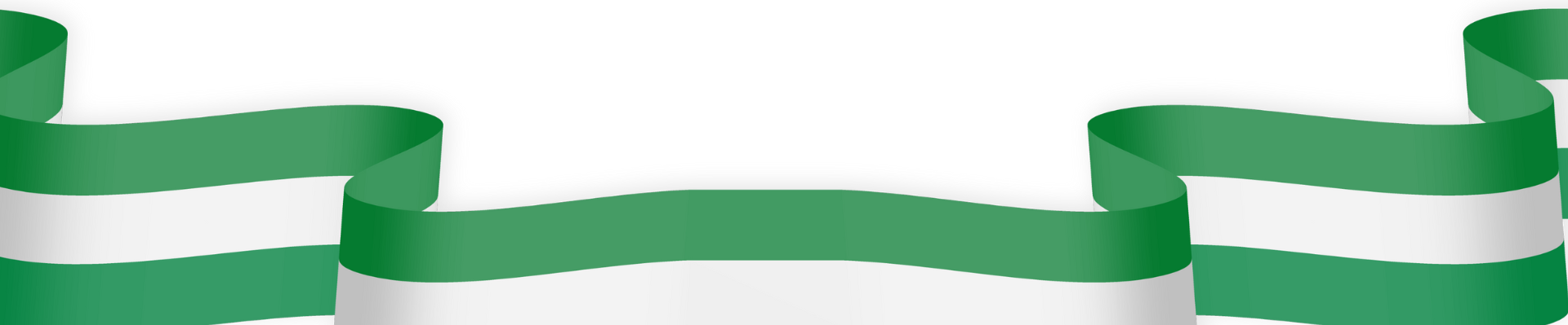 Tanzania Flag