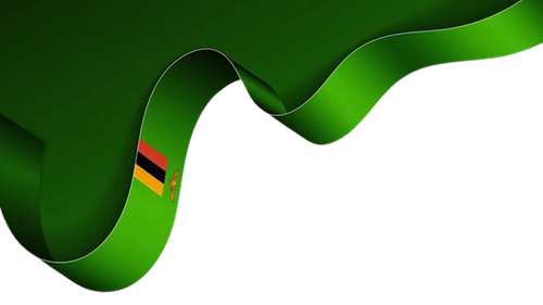 Tanzania Flag